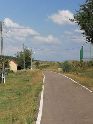 Vand casa+teren 5000 mp,in Dubești,comuna Ohaba Lunga,Judetul Timis.