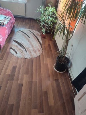 Amenajari interioare