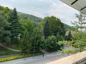 Apartament 2 camere inchiriat - Rm. Valcea Nord (Calea lui Traian) - imagine 3