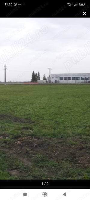 Teren de inchiriat ,suprafata 8400 m 2  in Carpinis Timis pe drumul DN 59A    - imagine 17