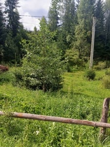 Vand teren intravilan in zona turistica Parcul National Calimani, Bucovina ! - imagine 2