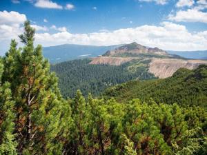 Vand teren intravilan in zona turistica Parcul National Calimani, Bucovina ! - imagine 8