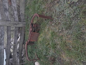 Graifer incarcare lemn - imagine 3