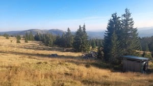 Teren În Apuseni cu 3 cabane pe Drumul lui Iovan, la 1550m altitudine - imagine 10