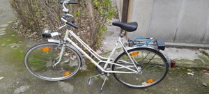 Vind bicicleta Dame Germana