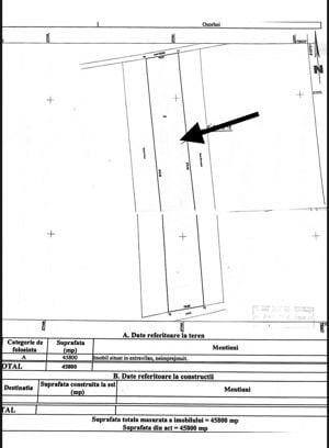 Teren parcelabil, 45.800 mp, Oșorhei, Bihor. 7,5 €/mp (neg). Comision - imagine 2