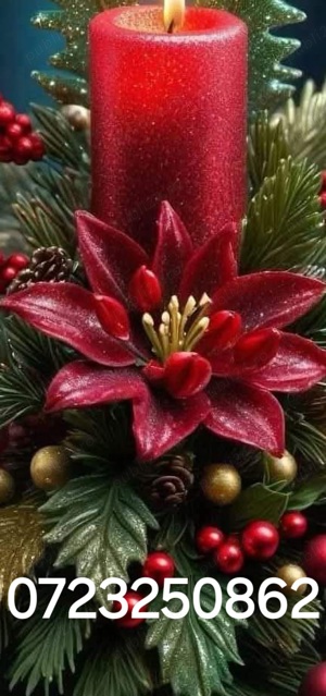 Logan Mcv Combi - imagine 6