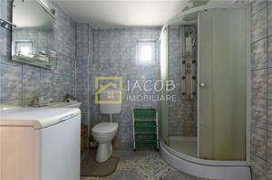 Casa cu un etaj, 6 camere, teren 2500 mp, Lilieci - Hemeius, jud. Bacau - imagine 19