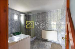 Casa cu un etaj, 6 camere, teren 2500 mp, Lilieci - Hemeius, jud. Bacau - imagine 18