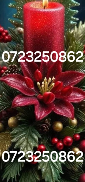 Logan Mcv Combi - imagine 7