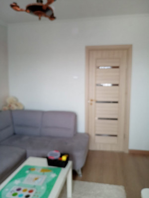 Apartament 4 camere renovat in Nadlac - imagine 7