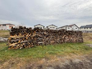 vand lemne fag carpen - imagine 2