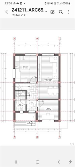 CASE INDIVIDUALE    str T.Vladimirescu  suprafata  140 mp - imagine 3