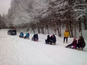 Săniuș, schi, plimbare cu sania la lacul Sfânta Ana - imagine 9