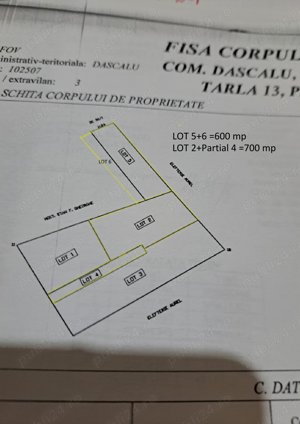 VAND teren intravilan in GAGU,COM.DASCALU