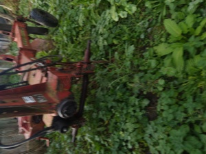 Plug reversibil 3 brazde Massey Ferguson