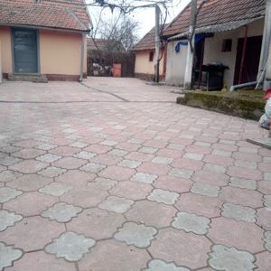 De vânzare casa de vacanta cu gradina la 30 minute de Oradea  - imagine 5