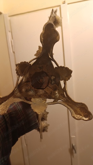 Sfesnic Bronz marime mare