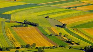 Teren extravilan agricol 3,85 ha Braila