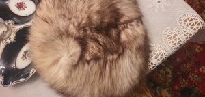 Caciuli dama - imagine 3