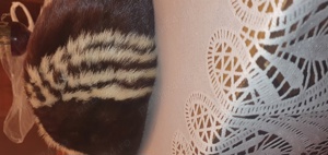 Caciuli Damă  - imagine 2