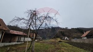 Casă 3 camere Sinca Noua/ 14.380 mp teren intravilan si extravilan - imagine 3