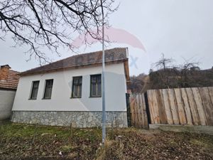 Casă 3 camere Sinca Noua/ 14.380 mp teren intravilan si extravilan - imagine 6