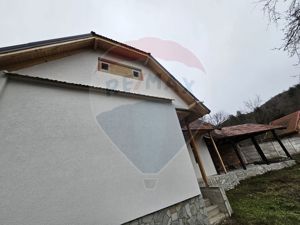 Casă 3 camere Sinca Noua/ 14.380 mp teren intravilan si extravilan - imagine 7