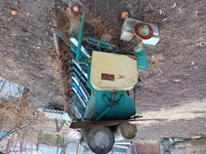 Semanatoare paioase  - imagine 5