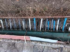 Semanatoare paioase  - imagine 4