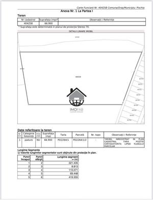 7ha Padure de stejar in Salciua Noua, Herneacova - imagine 13