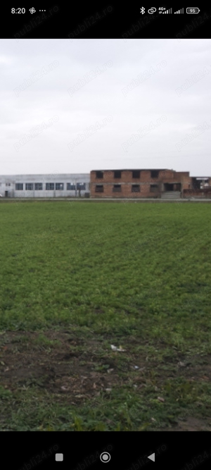 Teren de inchiriat ,suprafata 8400 m 2  in Carpinis Timis pe drumul DN 59A    - imagine 20