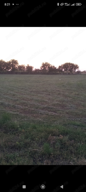 Teren de inchiriat ,suprafata 8400 m 2  in Carpinis Timis pe drumul DN 59A    - imagine 21