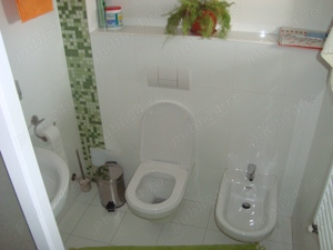 Vand casa, 30 km de centrul Bucurestiului, pe DN6, in sat Stalpu, Com. Iepuresti, Jud. Giurgiu - imagine 10