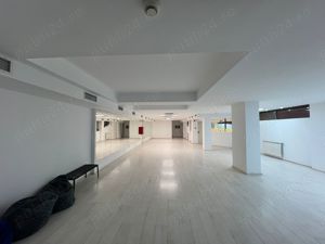 Studio dans 220 m2, sector 4- de închiriat 