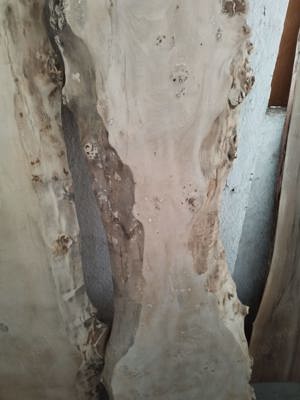  cherestea uscata stejar frasin tei cires ulm arin plop nuc sau tamplarie scari blaturi    