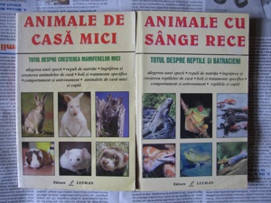 Carte - Animale cu sange rece (reptile) _ Animale de casa mici