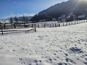 Casa de vânzare și teren in Bucovina Comuna Breaza Zona Centru - imagine 5