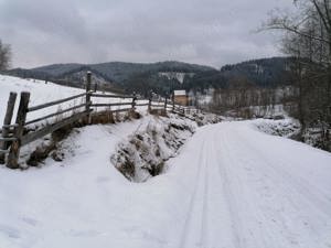 Teren 12.066 mp intravilan de vânzare în Bucovina Comuna Breaza Zona Breaza De sus - imagine 10