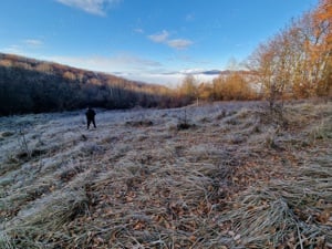 Teren extravilan 4600 mp in com Daesti-Valcea la pret foarte avantajos - imagine 6