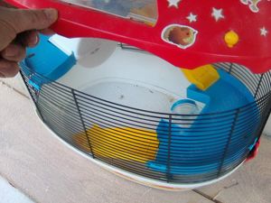 cusca hamsteri circus marime mare cu sau fara hamsteri - imagine 4