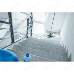 curatenie scari de bloc , dezinsectie , deratizare , 