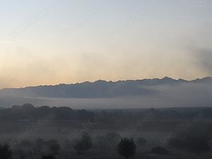 Structura hala materiale de construcții 