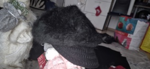 Băscuțe de damă de calitate  - imagine 2