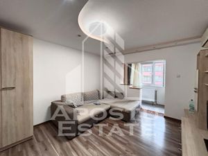 Apartament o camera, etaj intermediar, centrala proprie, Buziasului - imagine 2