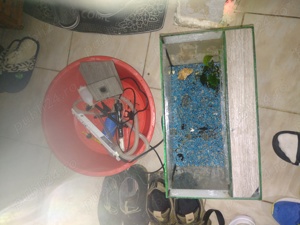 acvariu de pești  - imagine 2 acvariu de pești  - imagine 2