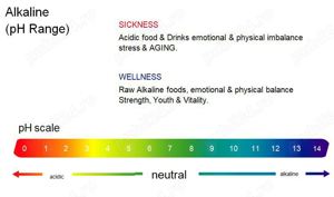 Vand Ionizator Apa alcalina 3placi, NOU, fabricat in KOREA, 1999lei. - imagine 4