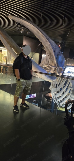 Pentru Doamne și Domnișoare 