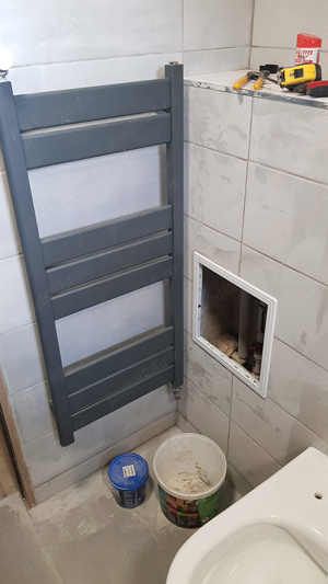 Meserias zugrav faiantar - imagine 5