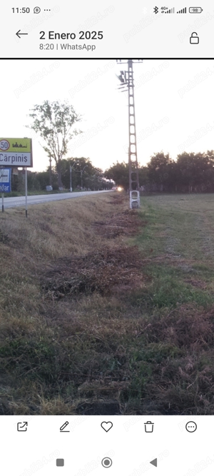 Teren de inchiriat ,suprafata 8400 m 2  in Carpinis Timis pe drumul DN 59A    - imagine 22